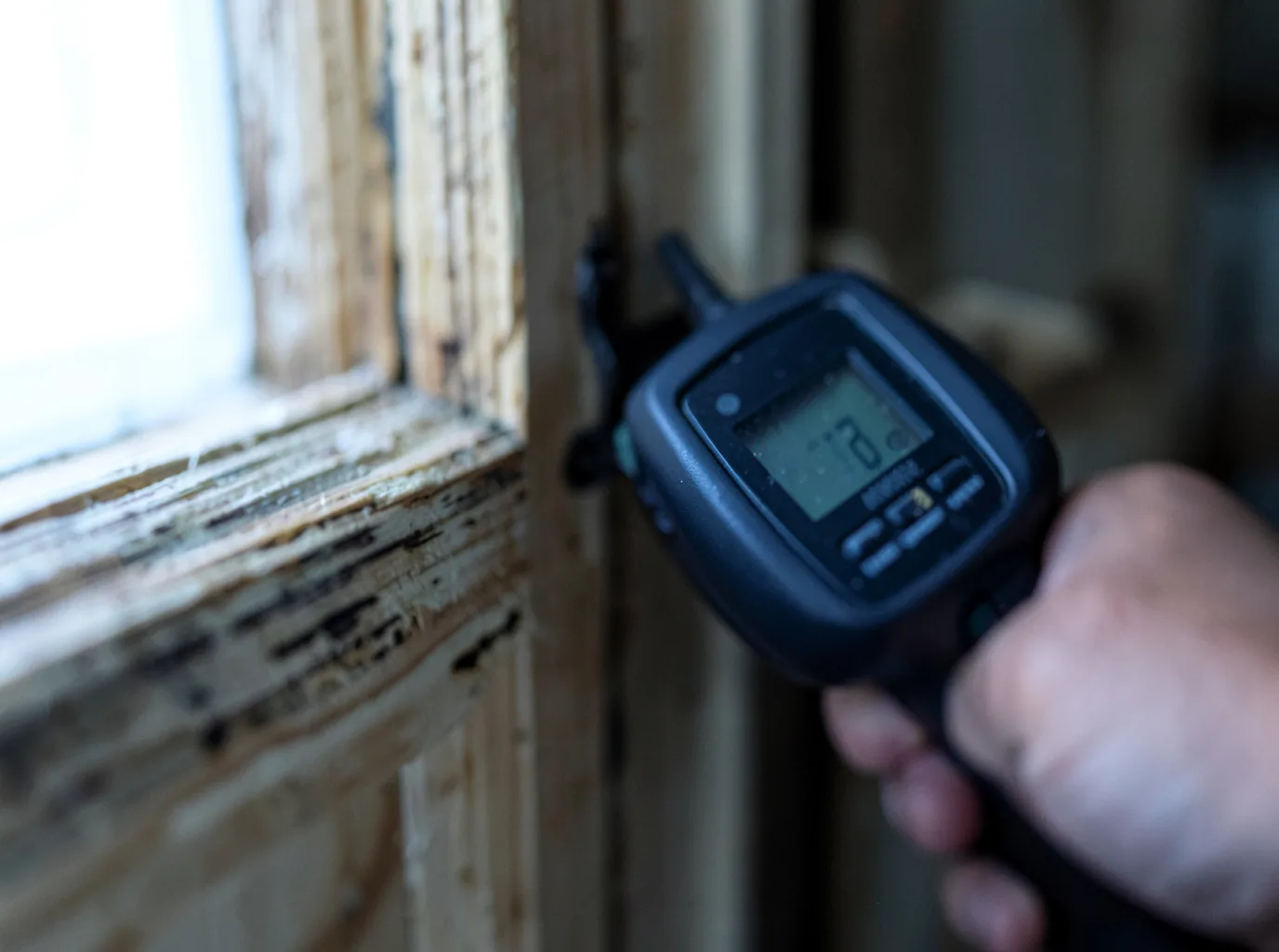 Moisture Inspection And Documentation in Canton, MS